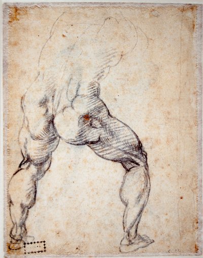 Men from Behind by Michelangelo Buonarroti